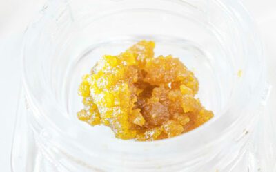 3 Different Textures of BHO (Sugar, Shatter and Wax)