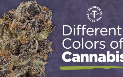 Different Colors of Cannabis