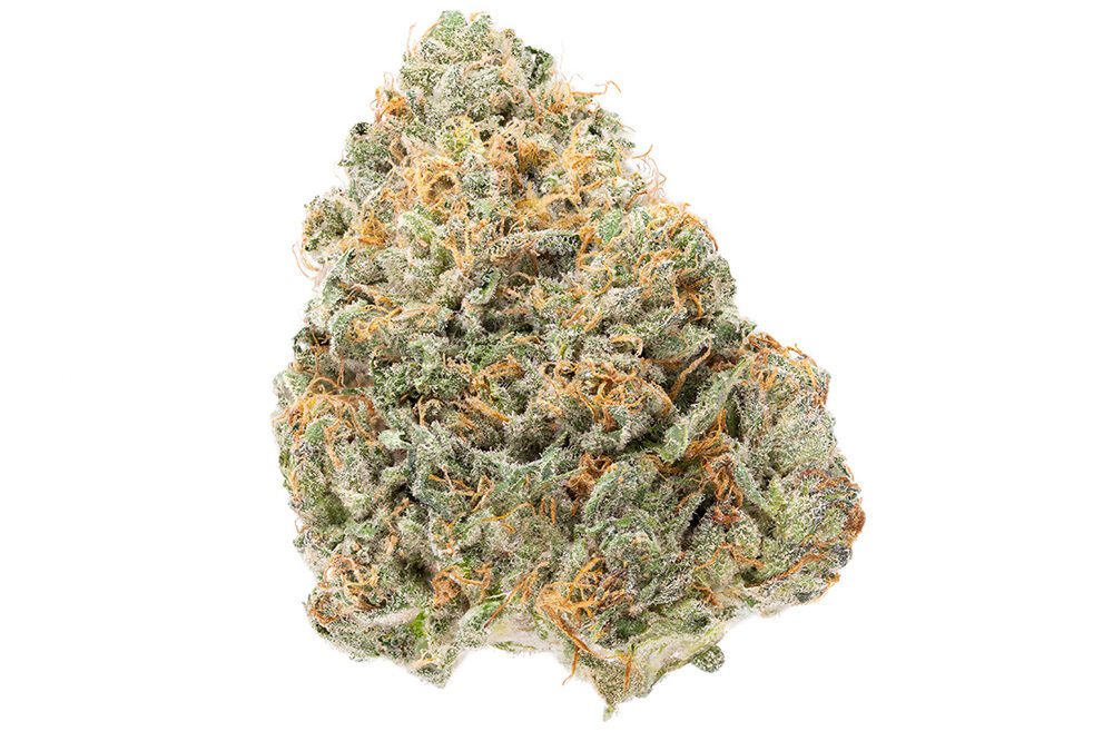 Lemon Scout