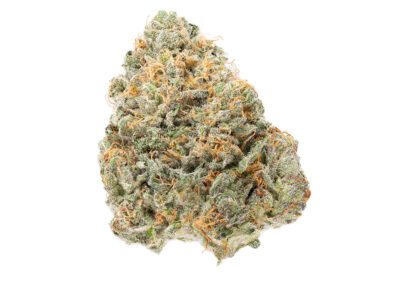 Lemon Scout